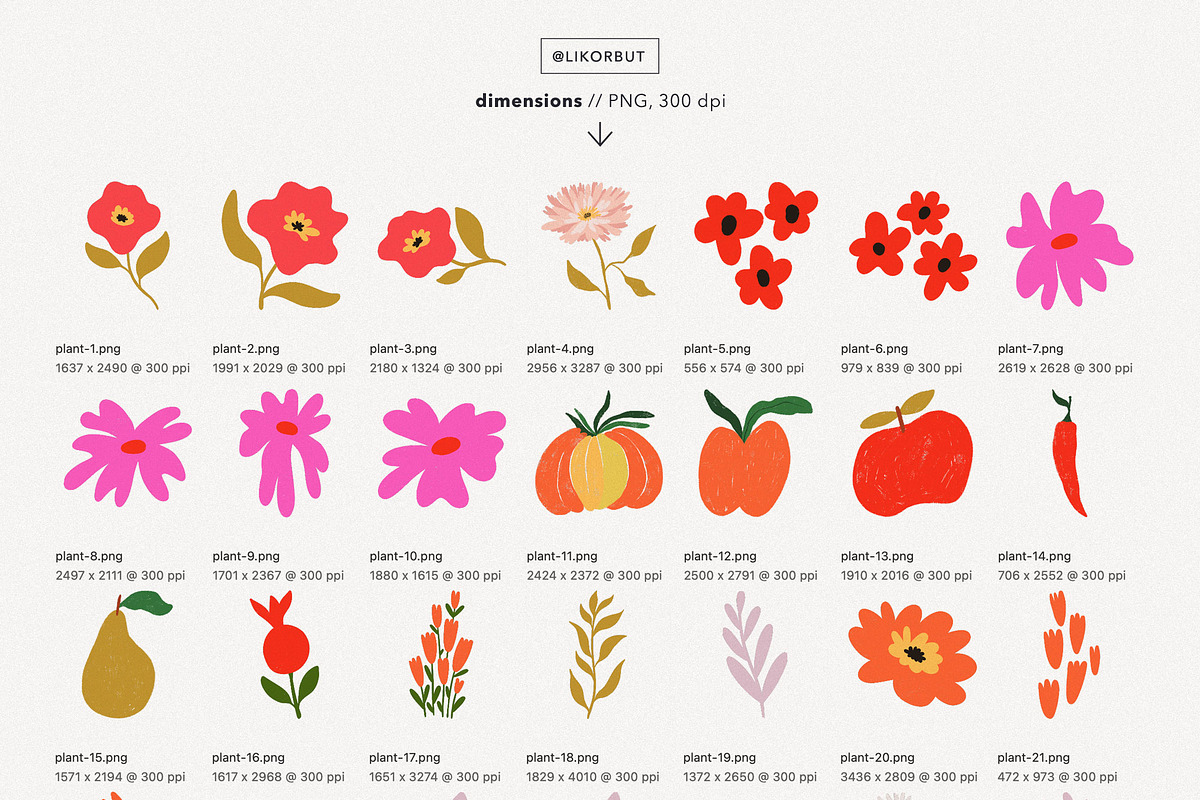 Floral Abstract Plant Graphics, a Decorative Illustration by likorbut (Photo 4 of 8)