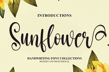 Sunflower | Script Font