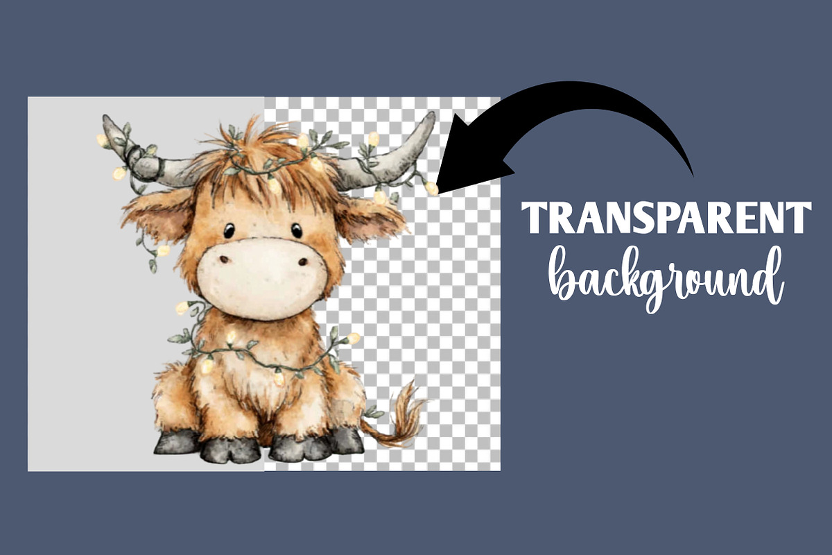 Christmas Highland Cow, an Illustration by Designworld (Photo 2 of 6)