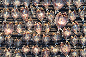 Sun-dried fish on traditional floating house, Lake Tempe, Indone, a Food & Drink Photo by GoodGoods