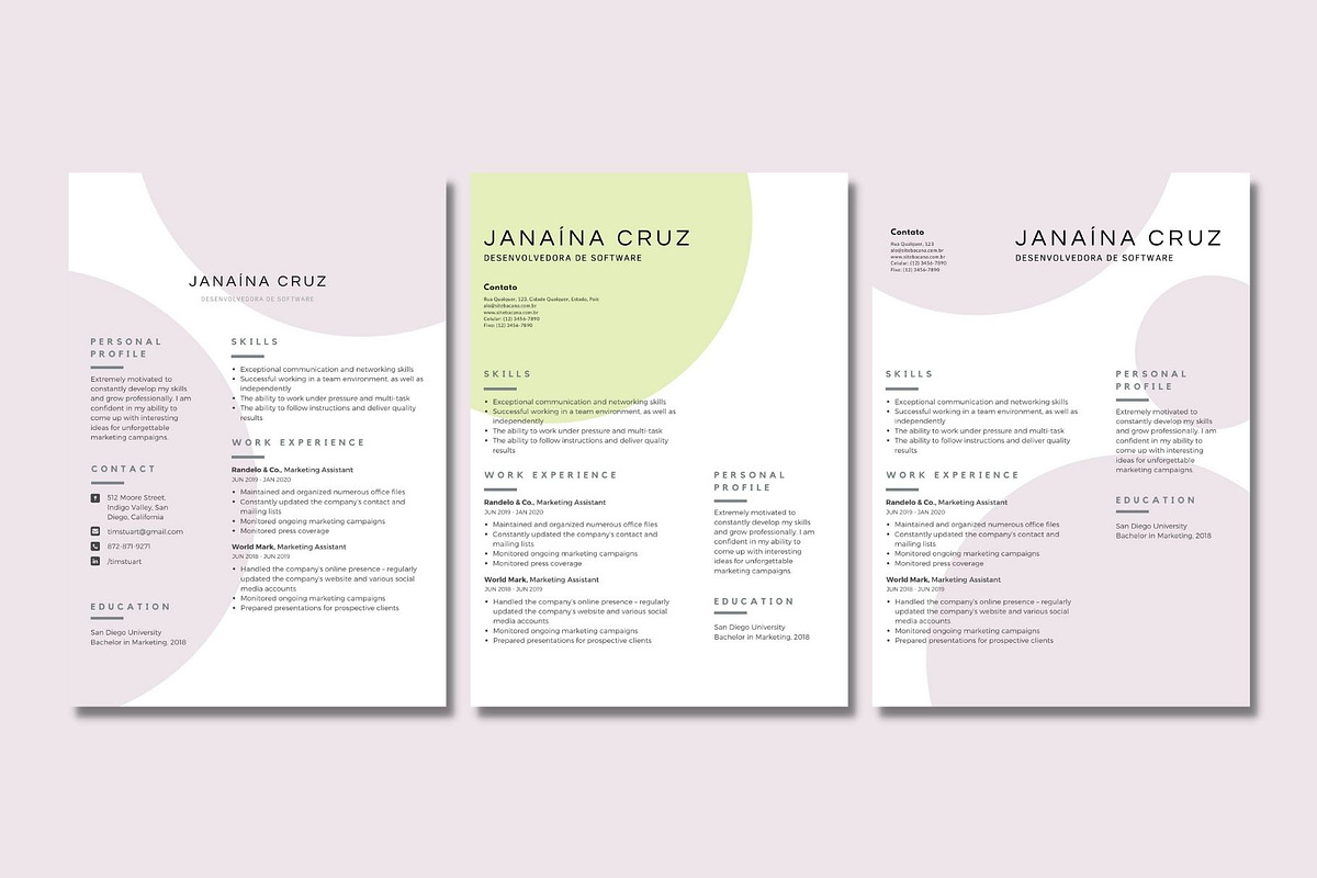 Bubbles Curriculum Canva Template, a Resume Template by BeNone Designs (Photo 3 of 3)