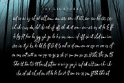 Sad Riff with 6 Stylistic Sets, a Script Font by Rad Fonts (Thumbnail 8 of 12)