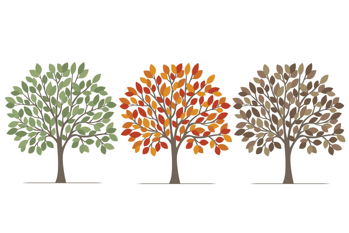 Leafy Trees, an Illustration by Illustrations by Jessie (Photo 3 of 3)