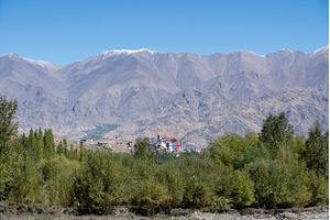 Matho Monastery in Ladakh, India