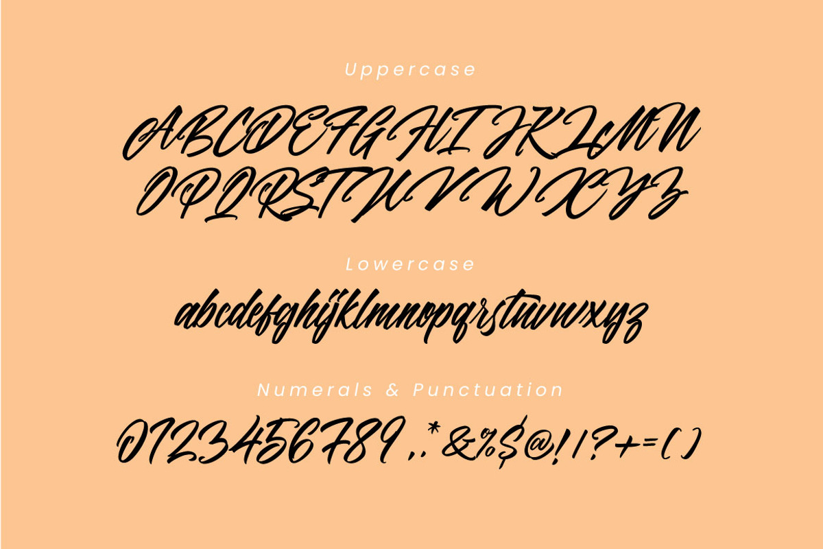 Panbers Script preview 5