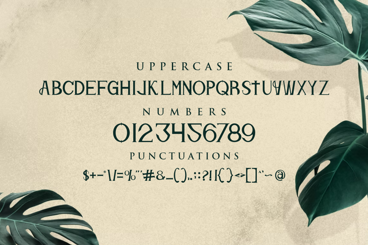 Qimaxo font, a Serif Font by VectorCraft (Photo 3 of 4)