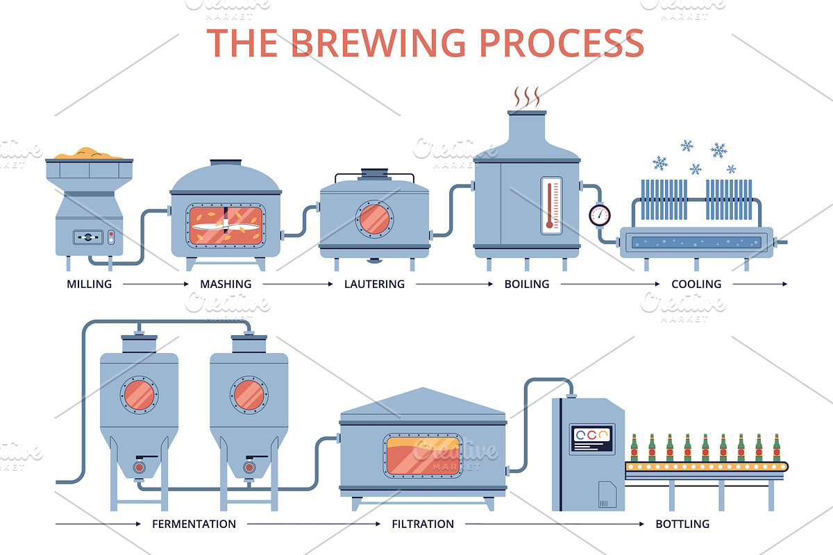 Beer production infographic. Brewing, an Illustration by YummyBuum
