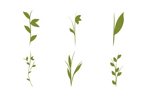 Green plant stems set vector, an Object Illustration by okskukuruza