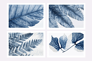 Cyle Collection · Blue Tone Leaves, a Background Graphic by milatovar (Thumbnail 7 of 32)