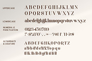 Rogale - Stylish Serif Font, a Serif Font by Aqeel_Art (Thumbnail 12 of 12)