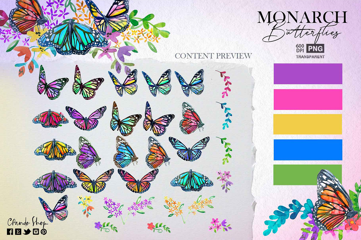 Monarch Butterflies watercolor clips, a Decorative Illustration by CpandoShop (Photo 2 of 5)