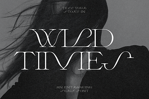 Wild Times Serif Font, a Serif Font by Wild Theory