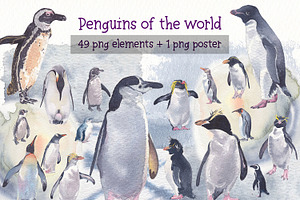 Penguins of de world watercolor set