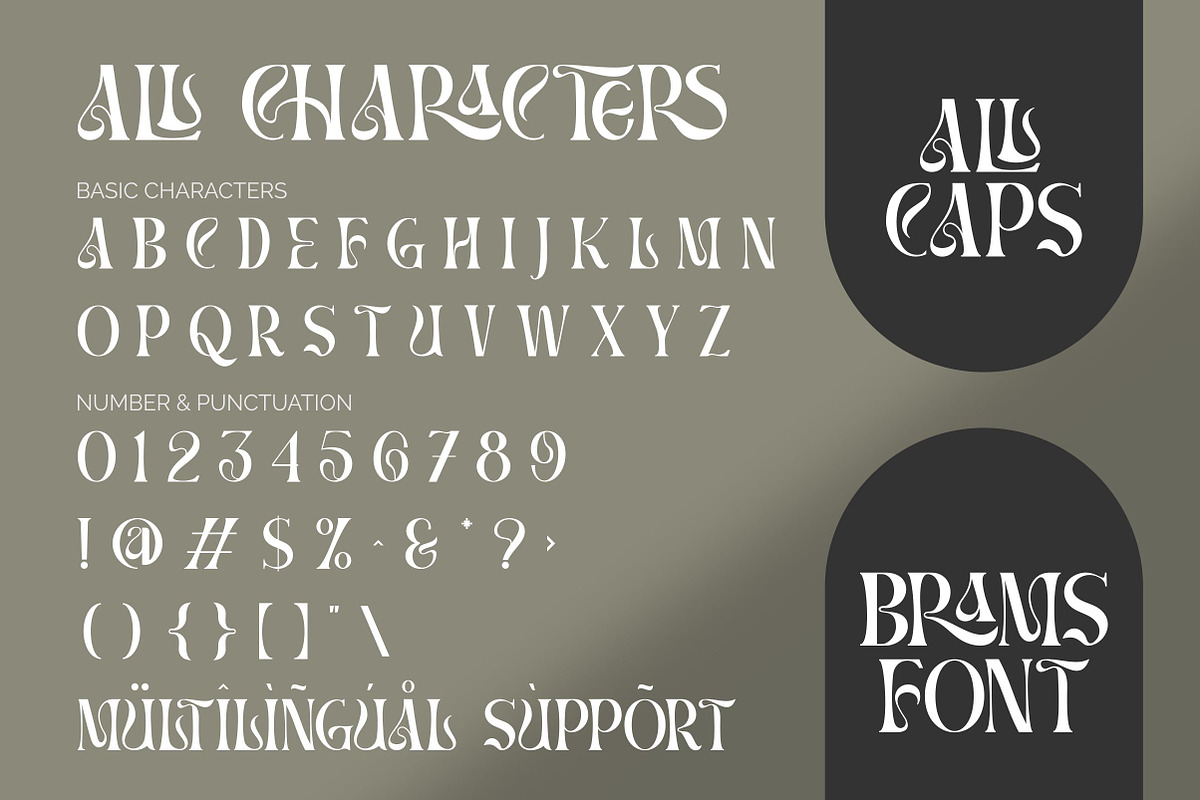 BRAMS - Display Serif (UPDATED!), a Serif Font by ErgibiStudio (Photo 10 of 11)