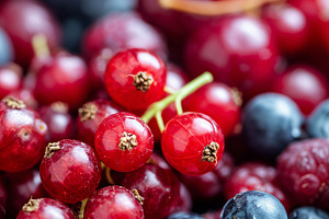 Fresh mix of summer red fruits, a Food & Drink Photo by MistyDay