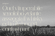 Monteilga Serif Font, a Serif Font by Hishand Studio (Thumbnail 10 of 10)