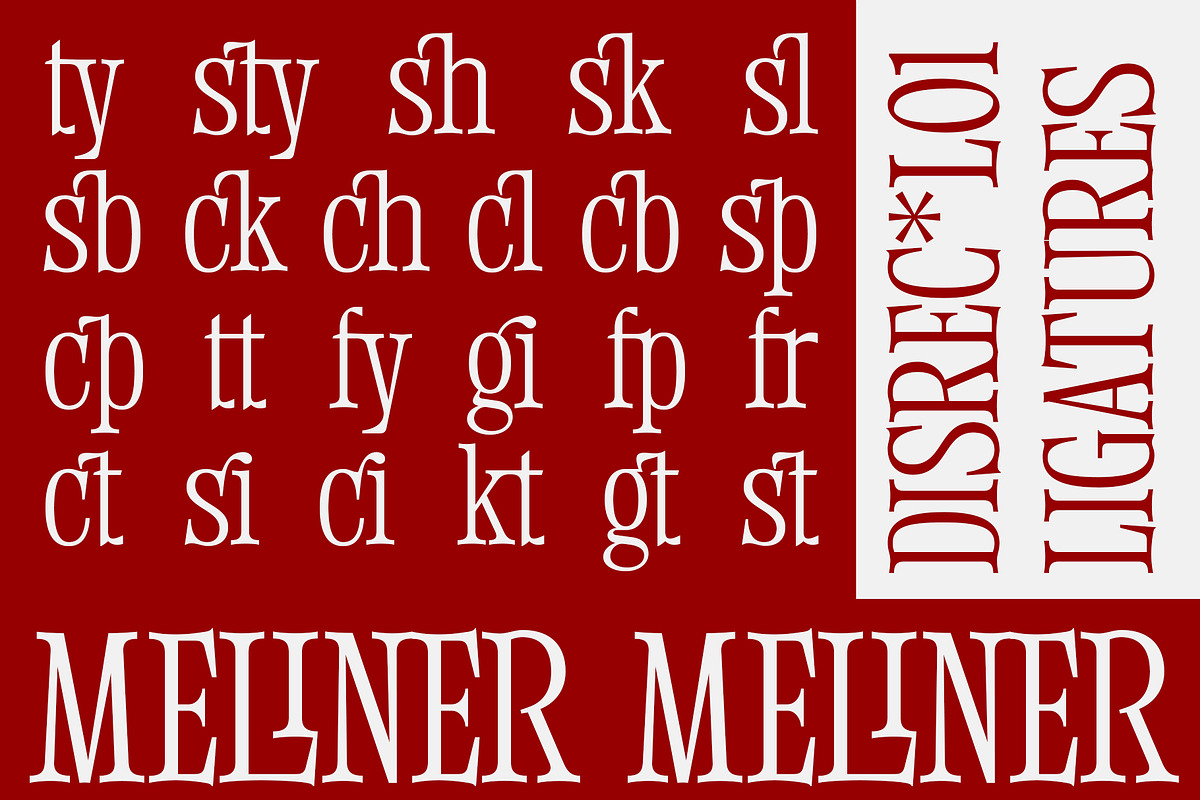 Meliner, a Serif Font by Dora Typefoundry (Photo 10 of 12)