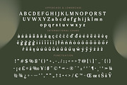 Arguys Regret Display Serif Font, a Serif Font by timelesstype.co (Thumbnail 19 of 20)
