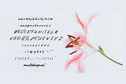 cinestory font, a Script Font by Mariyana (Thumbnail 4 of 6)