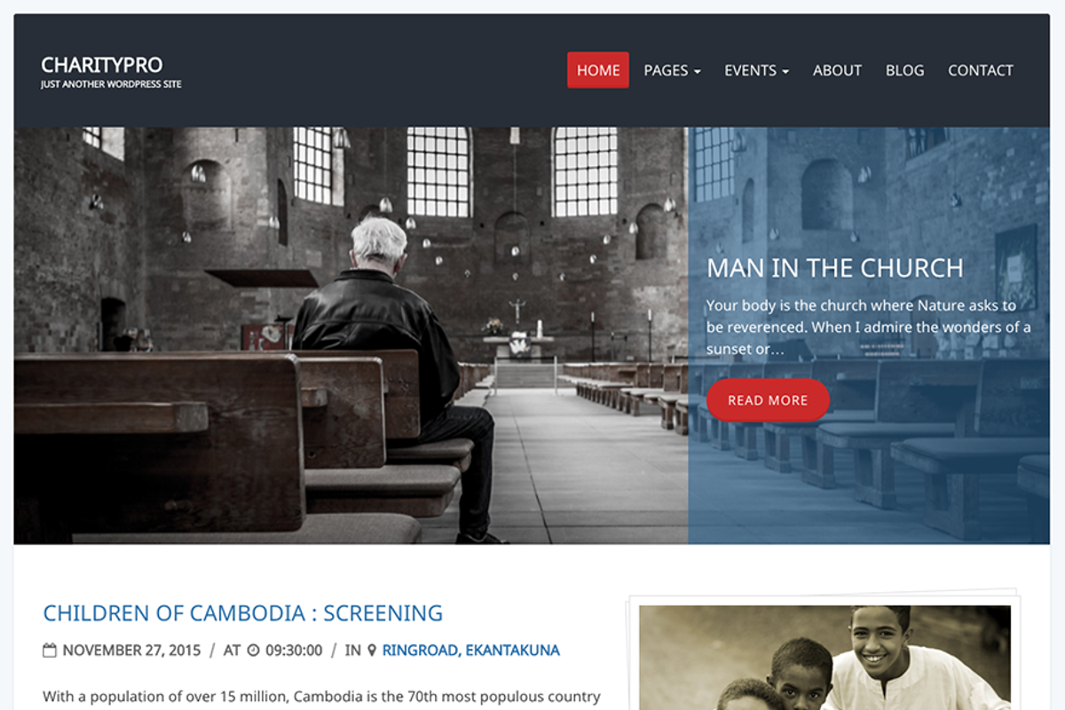 Charity Review Pro WordPress Theme, a WordPress Template by Code Themes Co