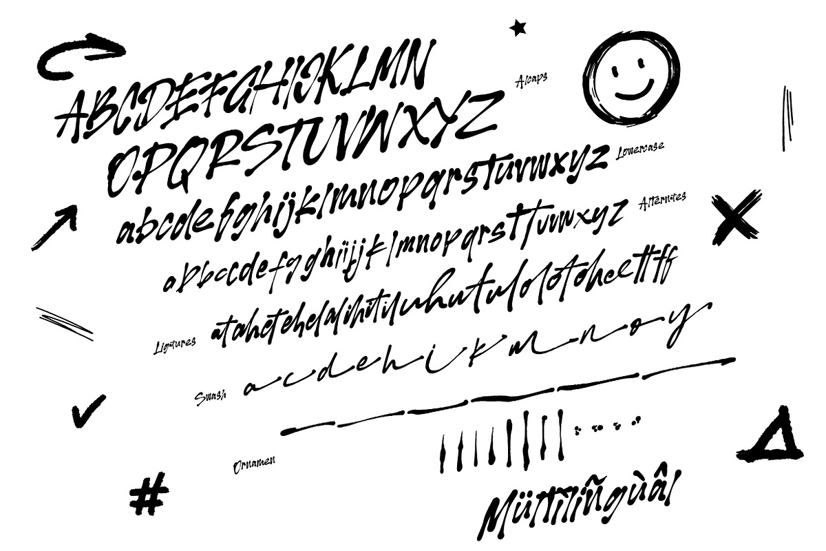 Vecthorized - Graffiti Type, a Symbol Font by NuType (Photo 2 of 10)