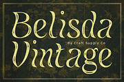 Belisda Vintage, a Sans Serif Font by Craft Supply Co. (Thumbnail 1 of 8)