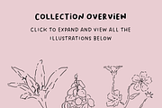 Wildflower Ink Atelier, a Decorative Illustration by The Journey Atelier (Thumbnail 3 of 19)