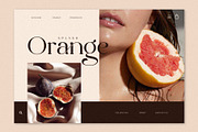 The Cartel - Elegant Serif Font, a Serif Font by Say Studio (Thumbnail 9 of 19)