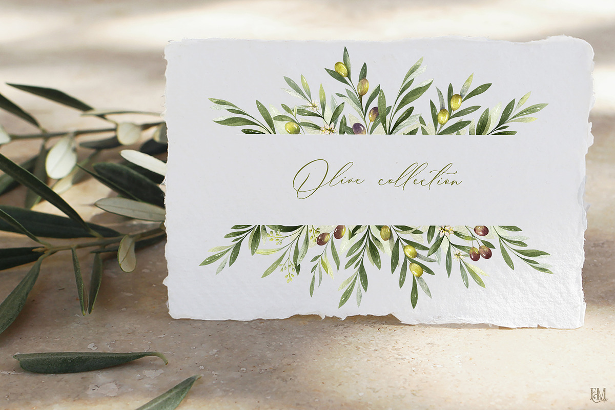 Olive watercolor collection, a Food Illustration by Elena Medvedeva