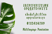 Ravioli Display Font 2 Style, a Script Font by Arendxstudio (Thumbnail 2 of 7)
