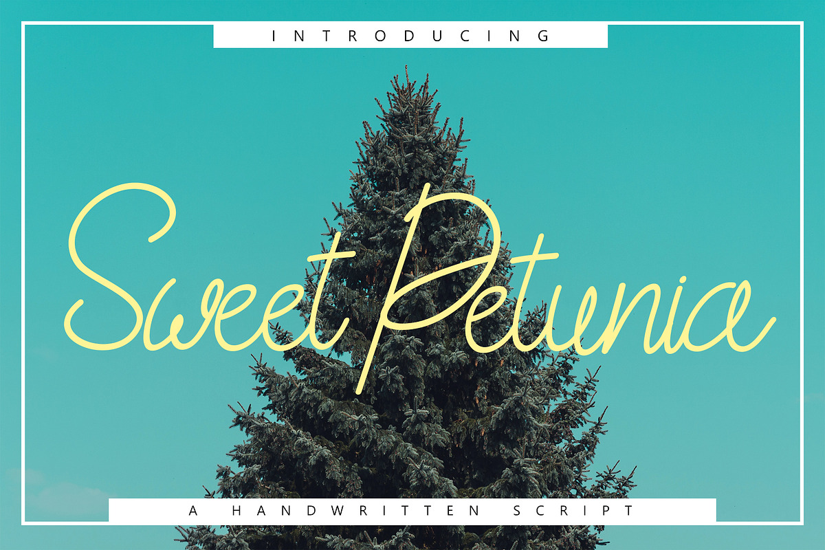 Sweet Petunia Handwirtten Script