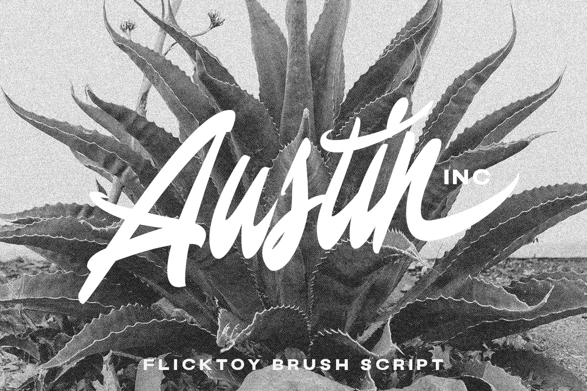 Flicktoy - Brush Script Font, a Script Font by Letterhend Studio (Photo 9 of 9)