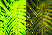 08 Into The Wild Lightroom Presets, a Preset Add-On by RamsaGraphi (Thumbnail 8 of 10)