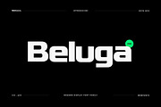 Beluga - Modern Sans-Serif Font fami, a Sans Serif Font by Webhance Studio (Thumbnail 1 of 10)