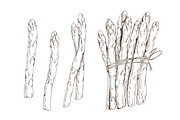 Hand drawn monochrome asparagus set, a Food Illustration by Good Studio (Thumbnail 3 of 3)