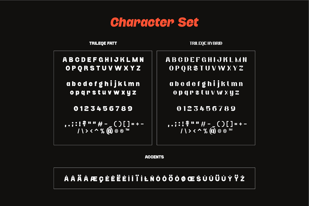Trileqe - Fat Type, a Sans Serif Font by Kulturë Type (Photo 7 of 8)
