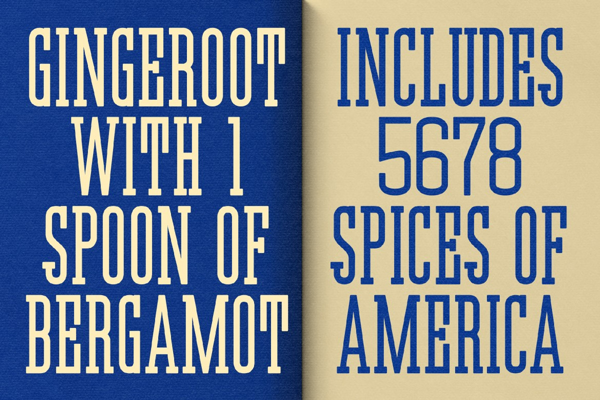 Vertylab, a Slab Serif Font by graphicook (Photo 9 of 10)