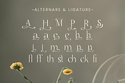 Marquis - Elegant Modern Serif, a Serif Font by roomspace creative lab (Thumbnail 12 of 14)