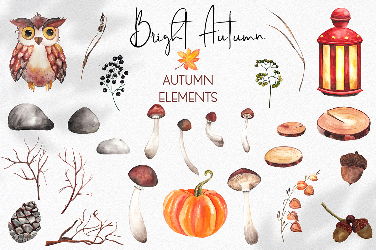 Watercolor Bright Autumn, an Object Graphic by Ana-Sakuta (Photo 8 of 10)
