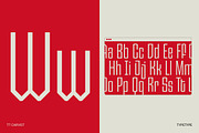 TT Carvist, a Sans Serif Font by TypeType (Thumbnail 11 of 15)
