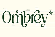 Roilega - Luxury Brand Family Font, a Serif Font by Pandeka Studio (Thumbnail 2 of 11)