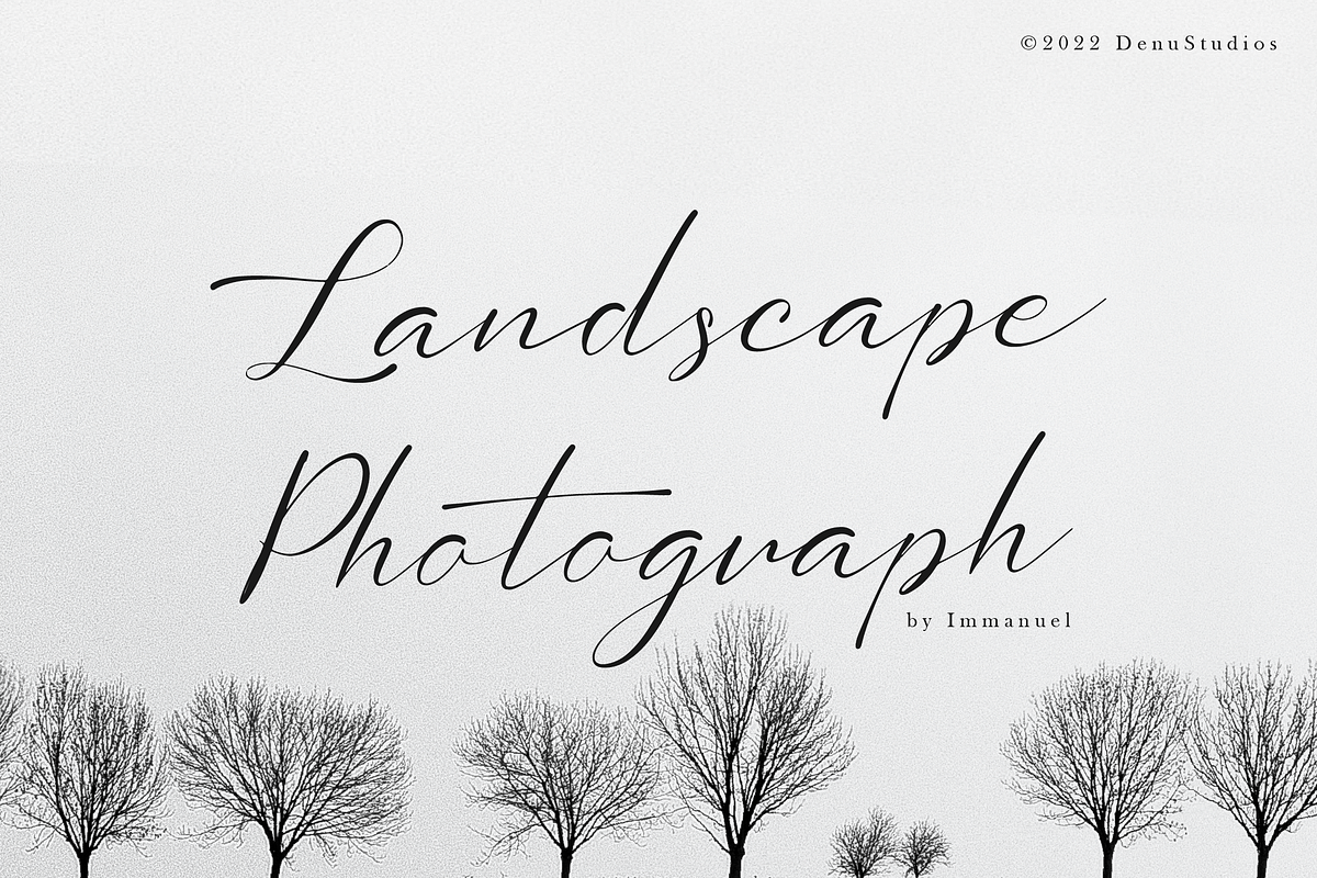 Sollutes Handy | Callighraphy Chic, a Script Font by gracetype_studio (Photo 9 of 12)