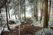 MILLION OF GREEN-Set of 20presets Lr, an Action Add-On by Graphics, Presets, Photos (Thumbnail 4 of 21)