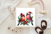 Christmas Grosbeak Birds PNG, an Illustration by Designking (Thumbnail 4 of 4)