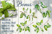 Blooming plum watercolor clipart, a Decorative Illustration by Eva Kleinman (Thumbnail 14 of 14)