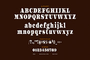 Mekinc Elegant Serif Font, a Serif Font by Graphicxell (Thumbnail 8 of 8)
