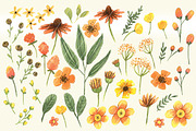 Watercolor Flower in orange set 1, a Decorative Illustration by Bianca Stanton (Thumbnail 2 of 2)