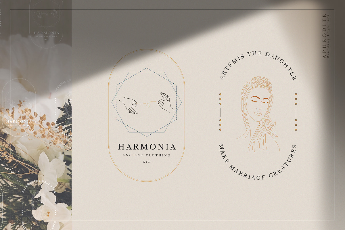 Aphrodite Branding Logos, a Branding & Logo Template by SNIPESCIENTIST (Photo 15 of 32)