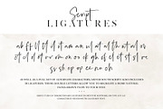 Silver South Font Duo (New Update), a Script Font by Sam Parrett (Thumbnail 6 of 14)