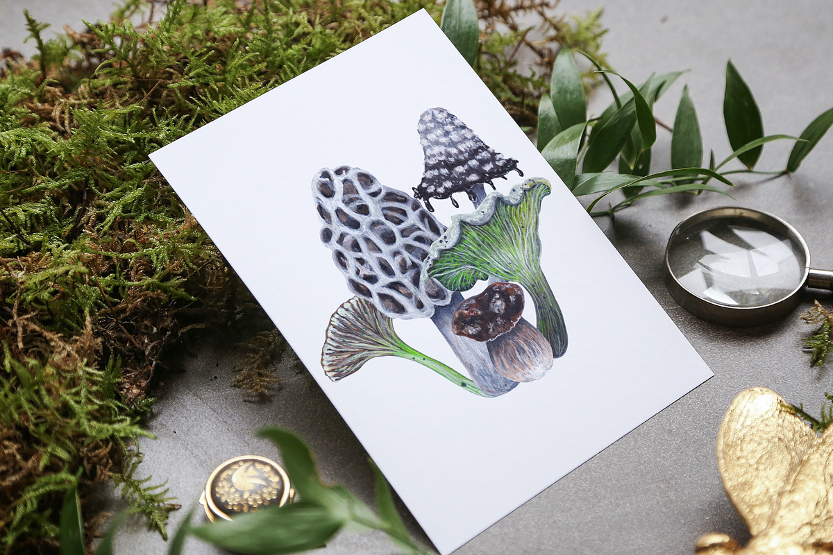 Watercolor and gouache Mushrooms, an Illustration by MariaOrtegaDigitals (Photo 6 of 6)